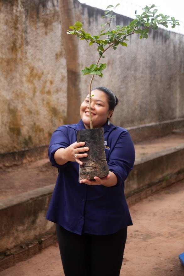 Plantio - Planta Natal