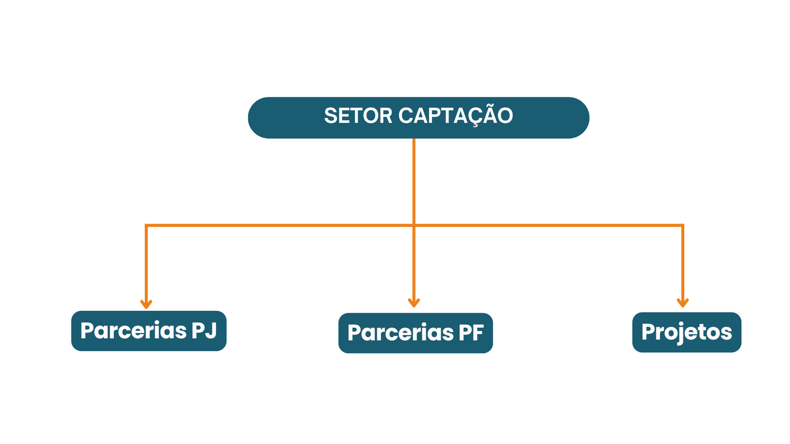 Estrutura organizacional site ReforAMAR (4)